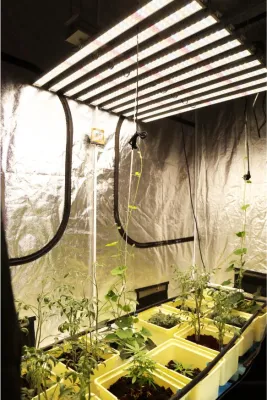 Lampe hydroponique à spectre complet pour plantes d'intérieur, barre de lampe étanche, ampoule de croissance 2019, LED à Induction quantique, lumière de croissance